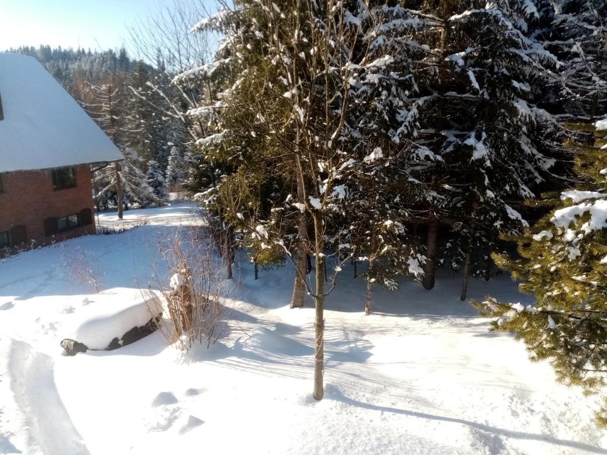 Gorski Zakatek Z Kominkiem I Tarasem