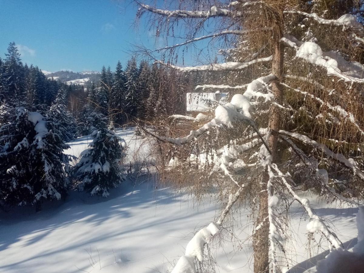 Gorski Zakatek Z Kominkiem I Tarasem Laliki